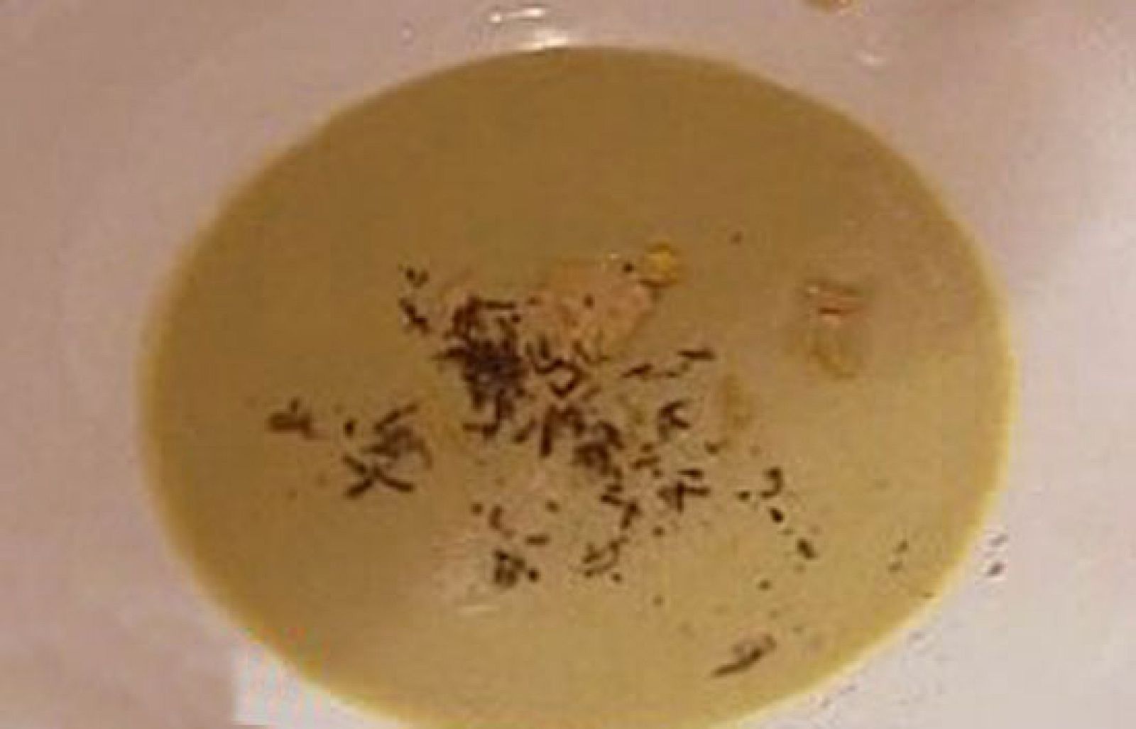 España Directo - Crema de alcachofas con foie - RTVE Cocina | Ver