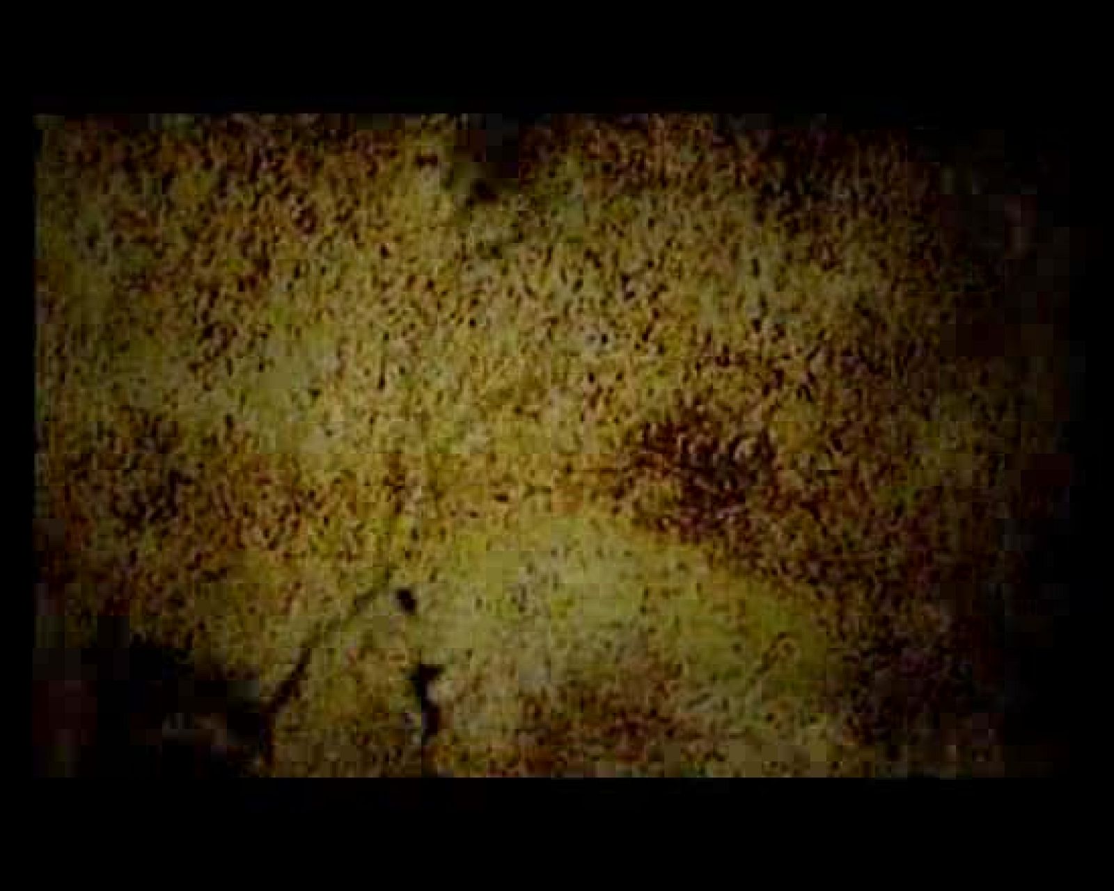 Wakaso y Kassama son jugadores africanos con muchas cosas en común. Tienen pasión por el fútbol y se sienten afortunados por la oportunidad de jugar en España. En repetidas ocasiones hablan sobre lo difícil que es llegar dónde están ellos.