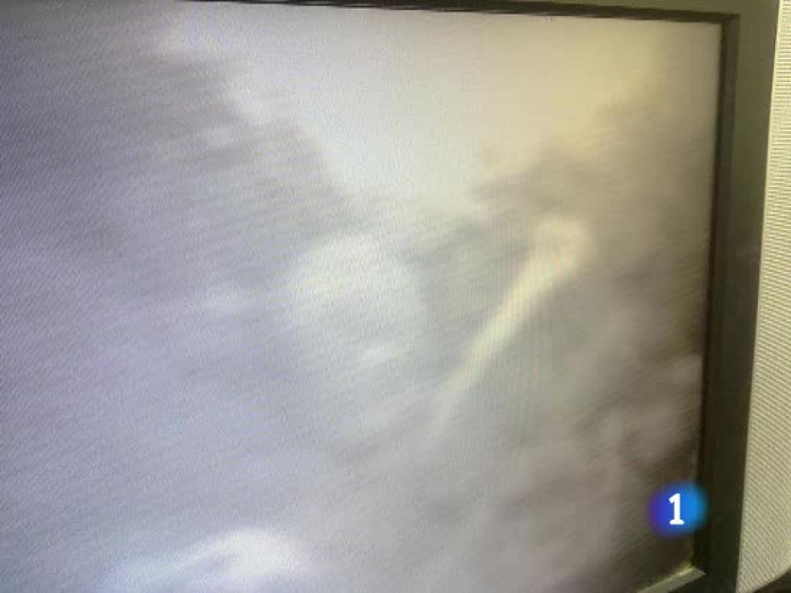 Investigan si los huesos encontrados en un pozo son de Sara Morlaes , desaparecida hace cuatro años | Ver