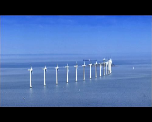 El escarabajo verde - Contra viento y marea