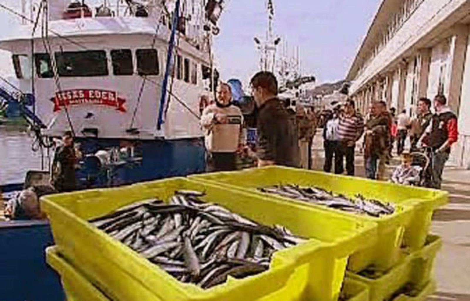 España Directo - Se levanta la veda | Ver