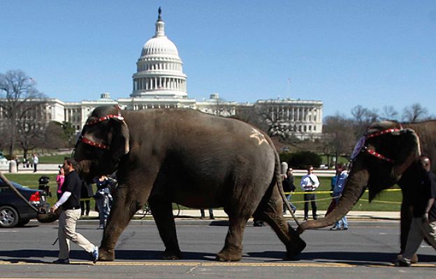  - Los 10 en 1 del deporte
