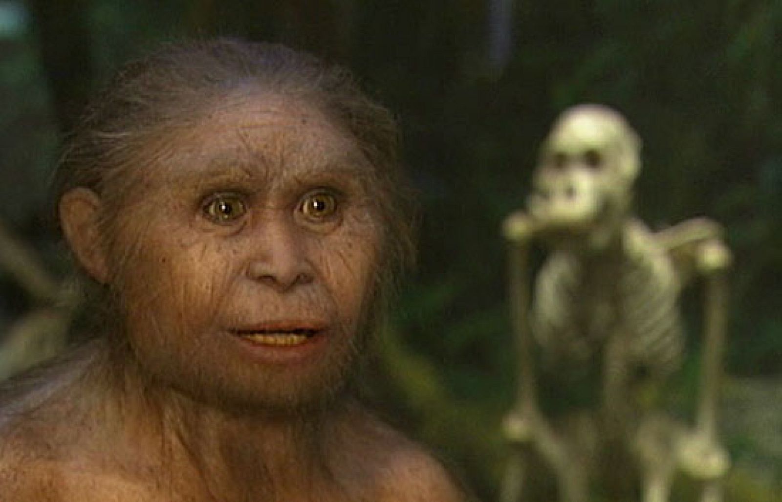 Se descubre una nueva especie humana a partir del ADN - Ciencia y tecnología en Rtve.es | Ver