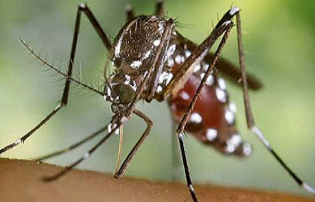  - Especies invasoras en España