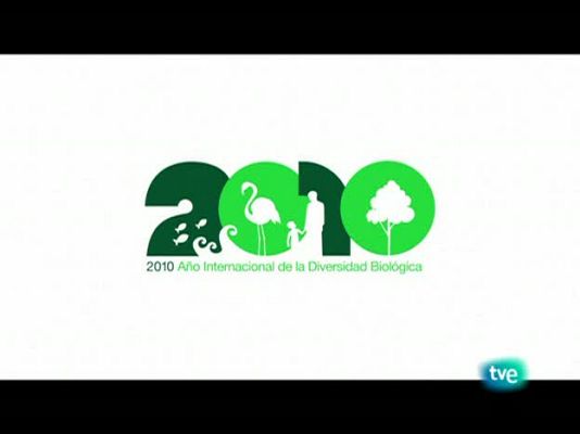 Biodiario - El vuelvepiedras