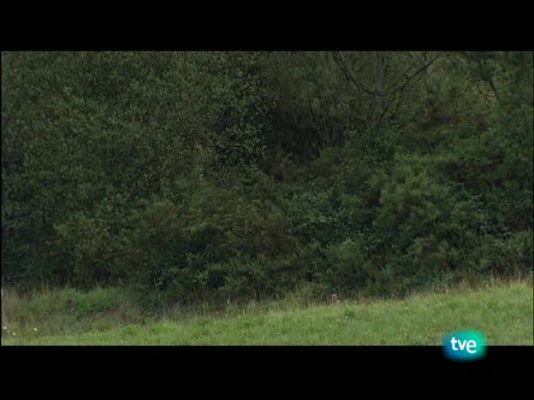 Nuestros caminos a Santiago - Nuestros caminos a Santiago