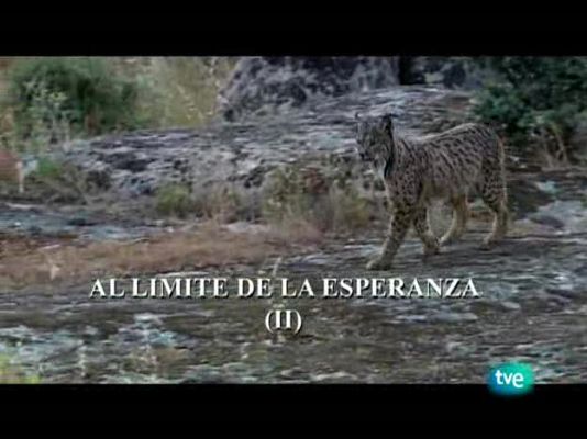 Espacios naturales - Al límite de la esperanza - 2
