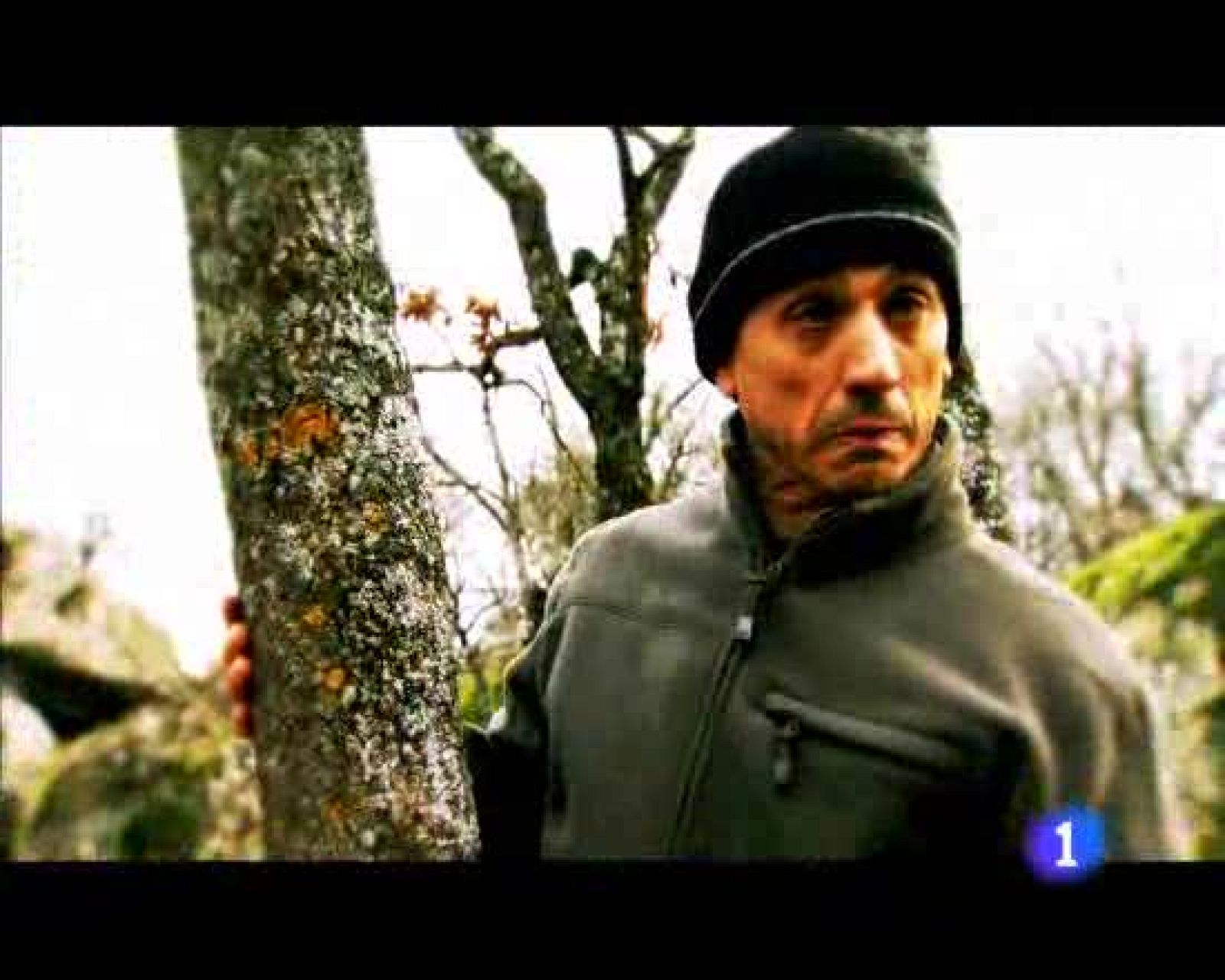 La hora de José Mota - El último superviviente - La hora de José Mota | Ver