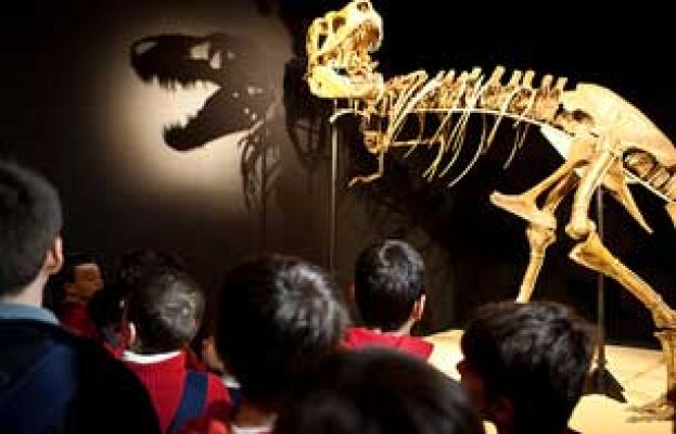 Ciencia y tecnología en Rtve.es - Exposición Dinosaurios del Gobi