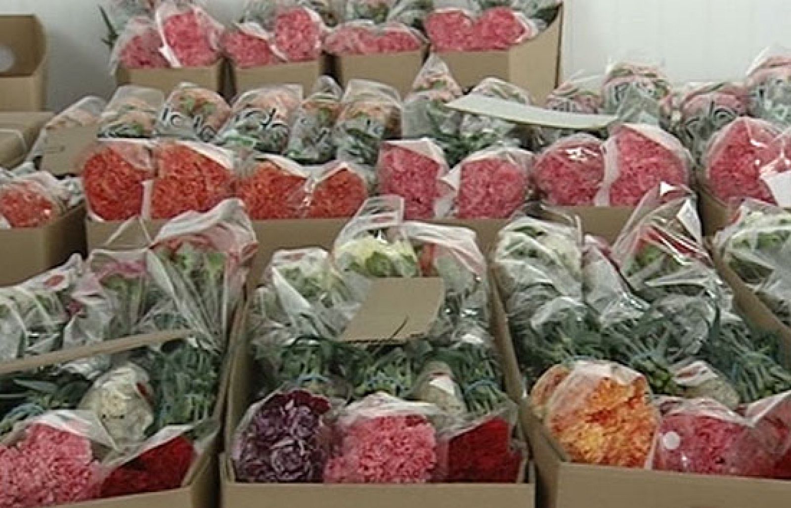 Parte de las flores que decoran esta Semana Santa pasos e iglesias vienen de Colombia | Ver