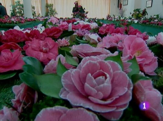 Panorama Regional - Panorama regional - 29/03/10