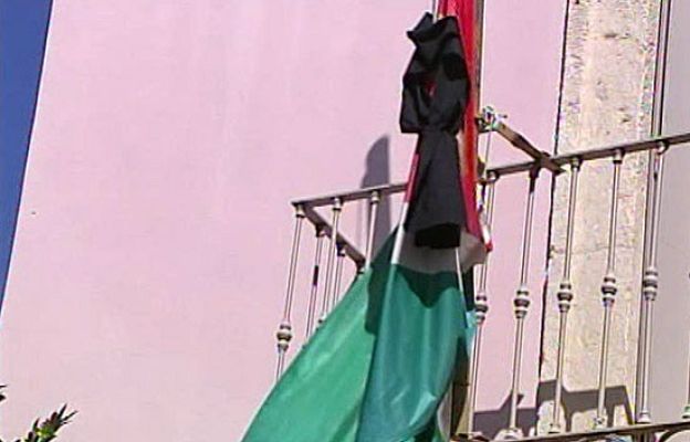  - Casos de violencia de género