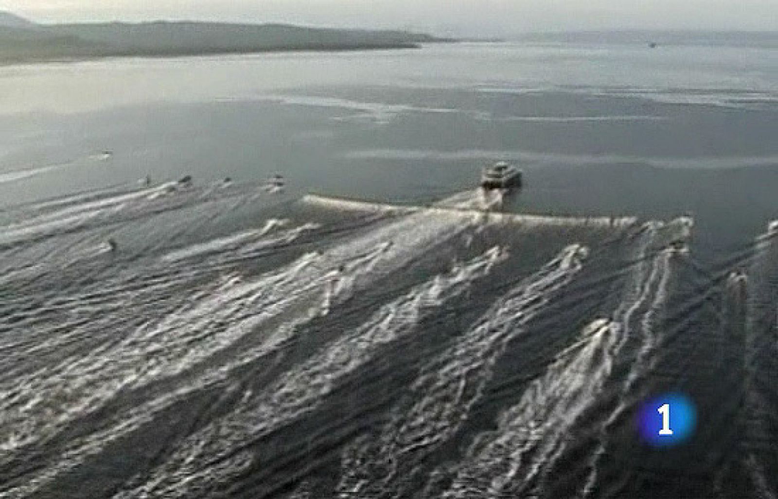 Récord acuático en Australia