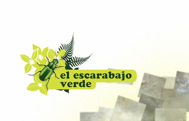 El escarabajo verde - Pez enjaulado