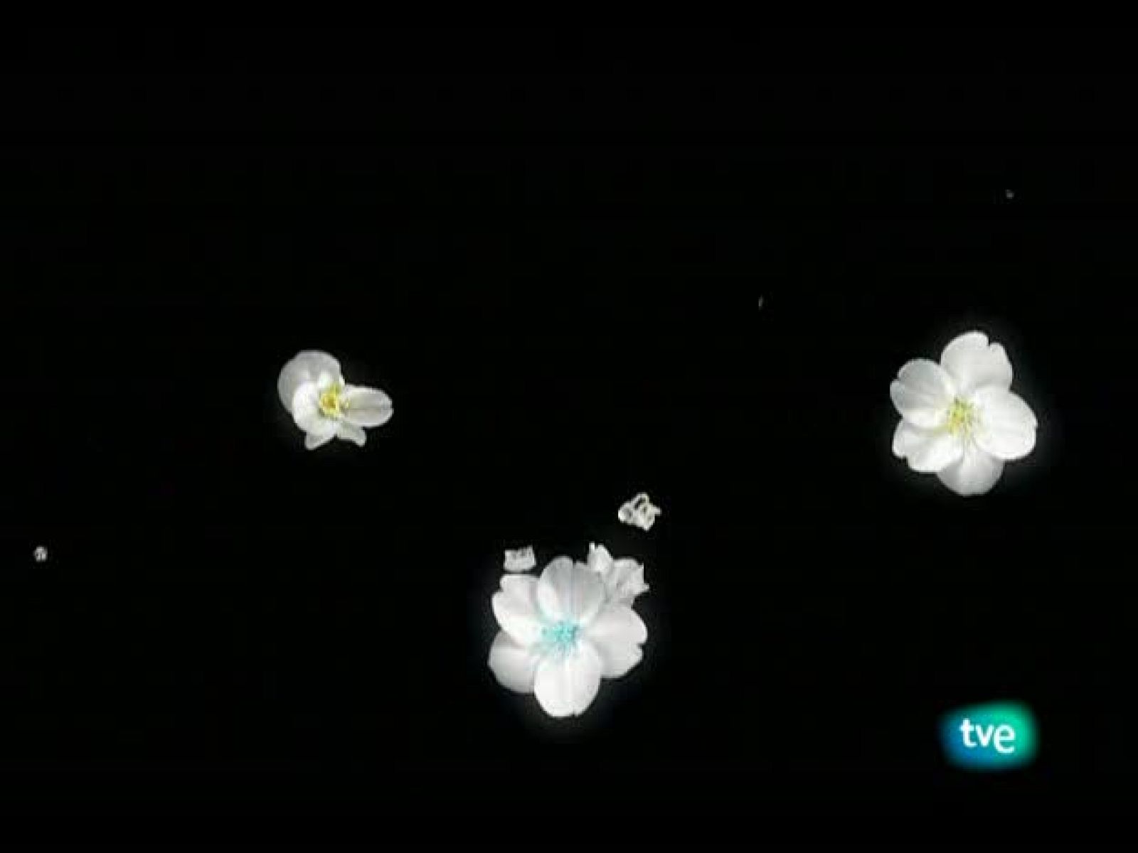 El jardín de los sueños - El Jardín de los Sueños | Ver