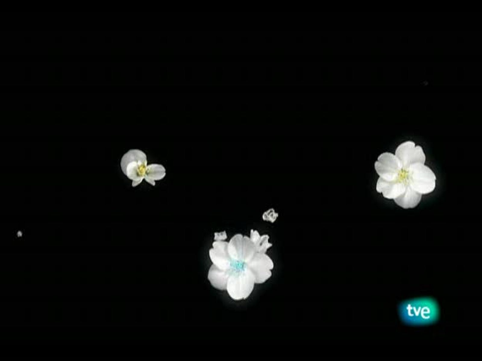 El jardín de los sueños - El Jardín de los Sueños | Ver