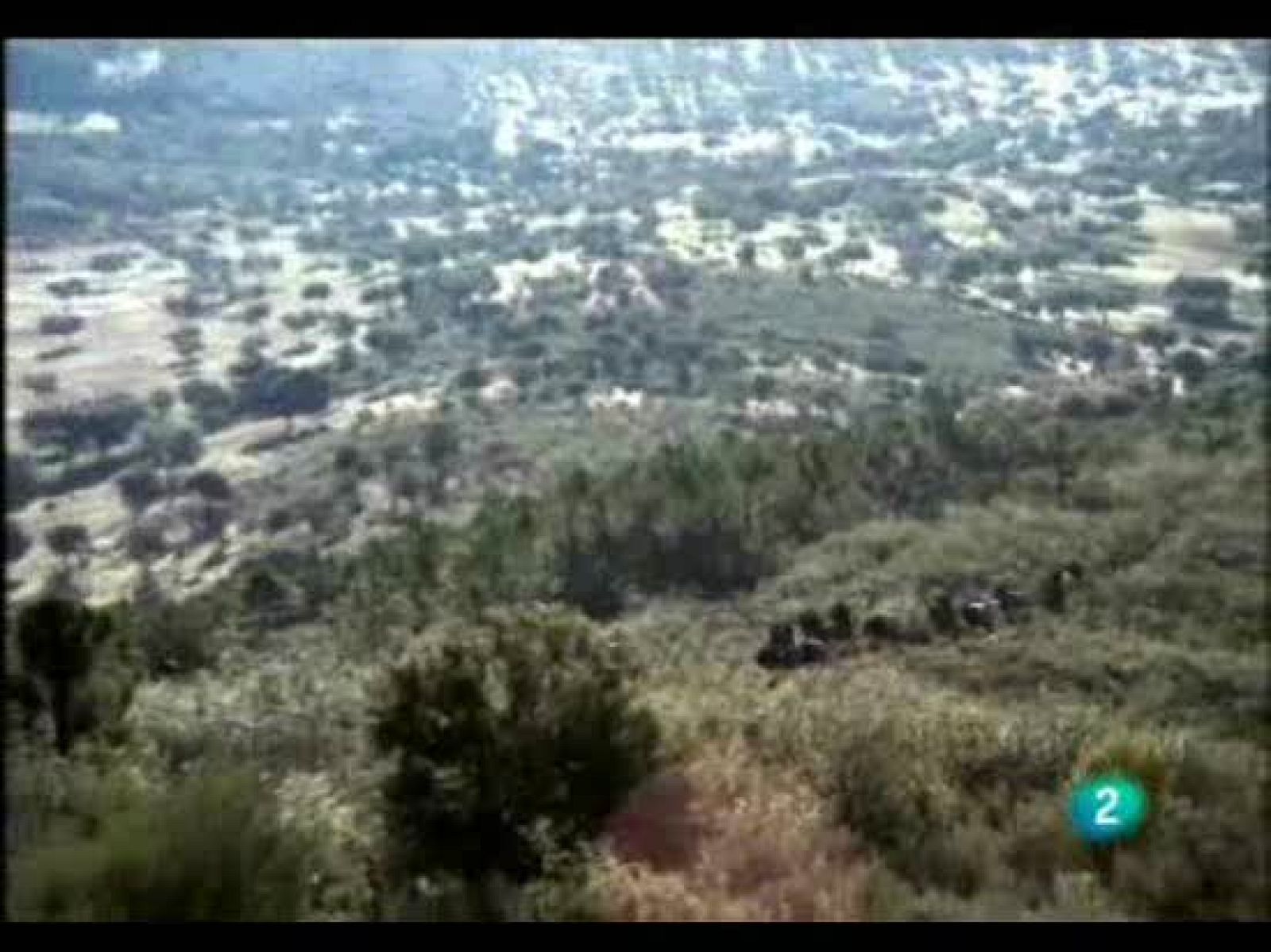 El hombre y la tierra - La caza del jabalí - El hombre y la Tierra | Ver