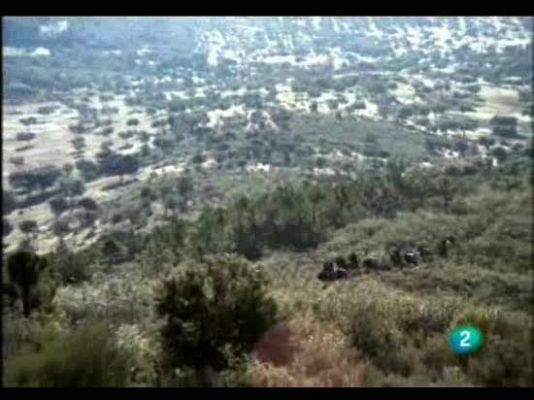 El hombre y la Tierra - La caza del jabalí