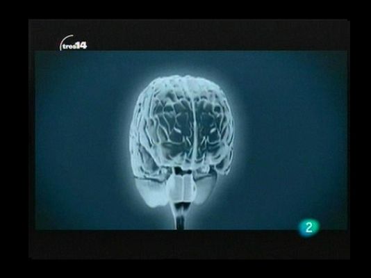 tres14 - Falta de atención