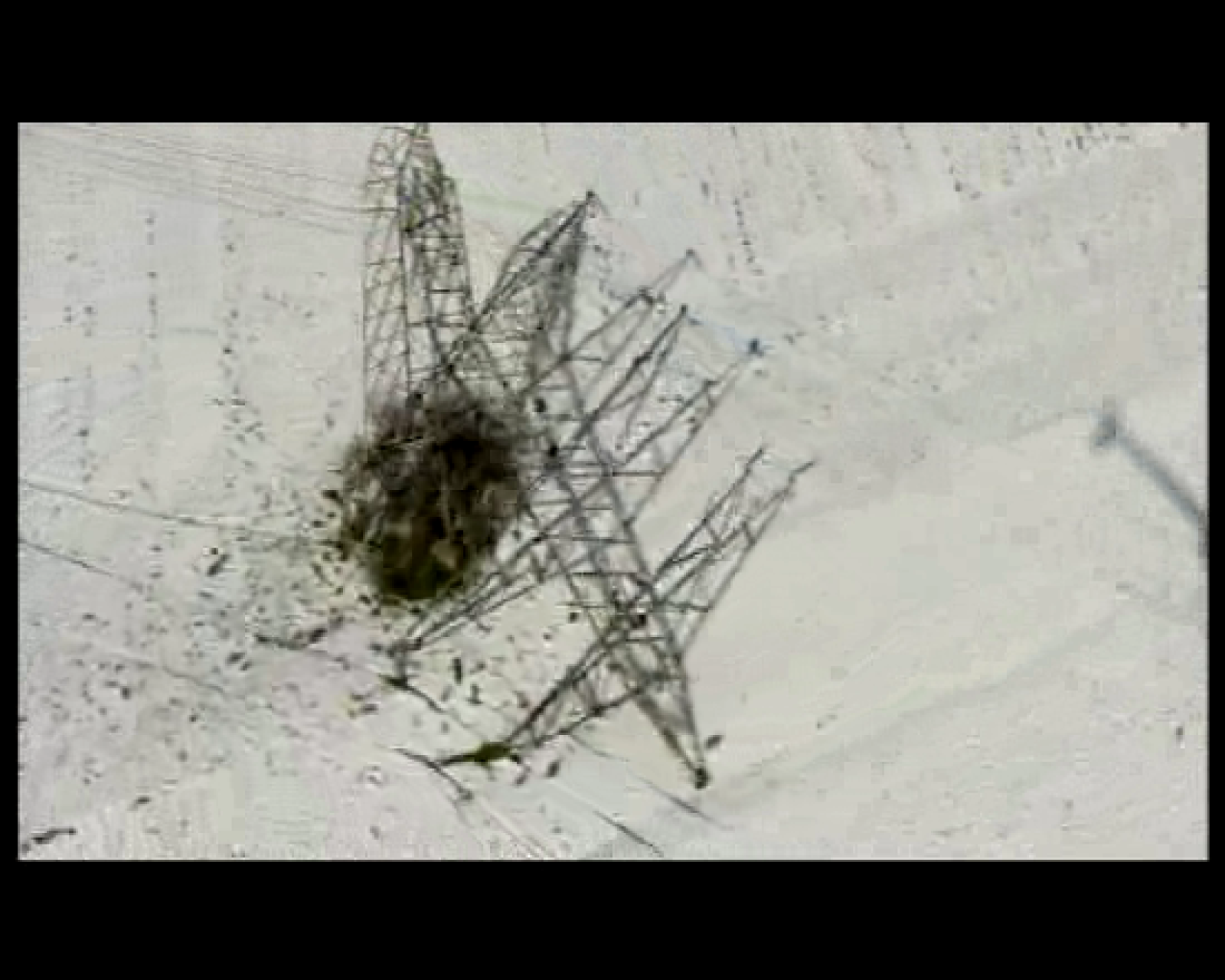 El escarabajo verde: Torre 114