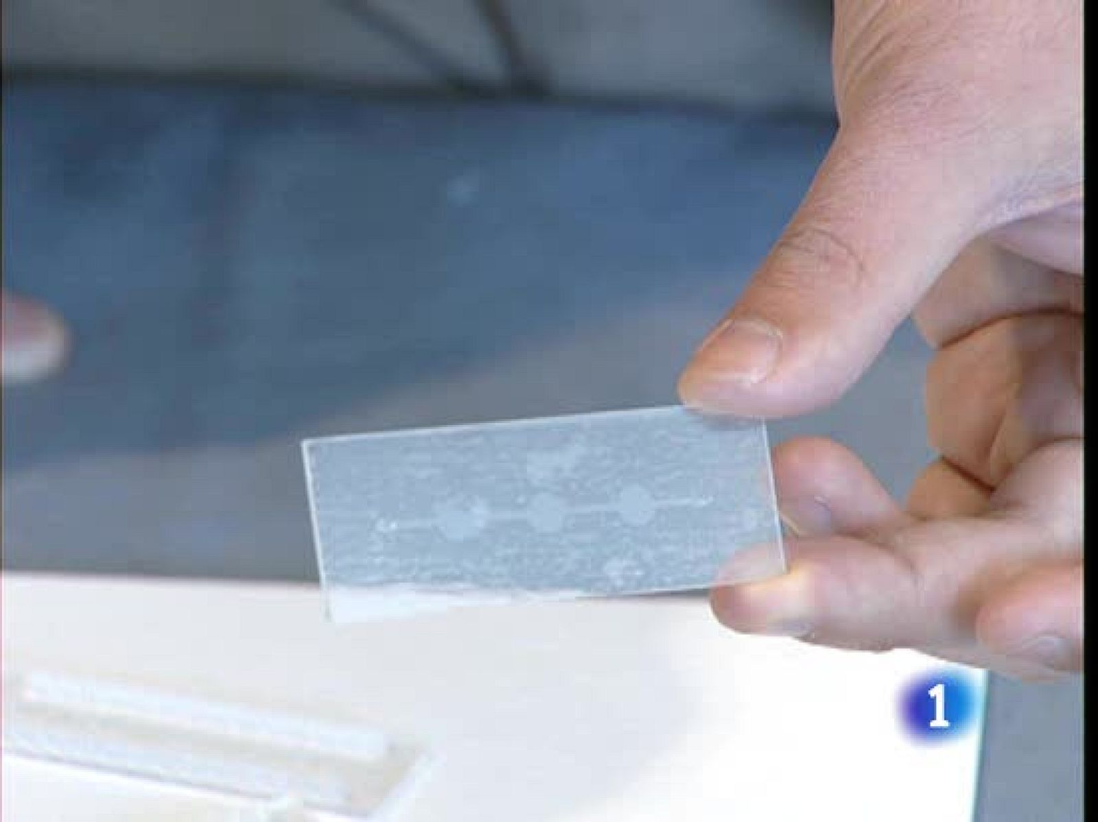 Sacar la ciencia de los laboratorios y utilizarla para acortar las diferencias entre los países ricos y los pobres - Ciencia y tecnología en Rtve.es | Ver