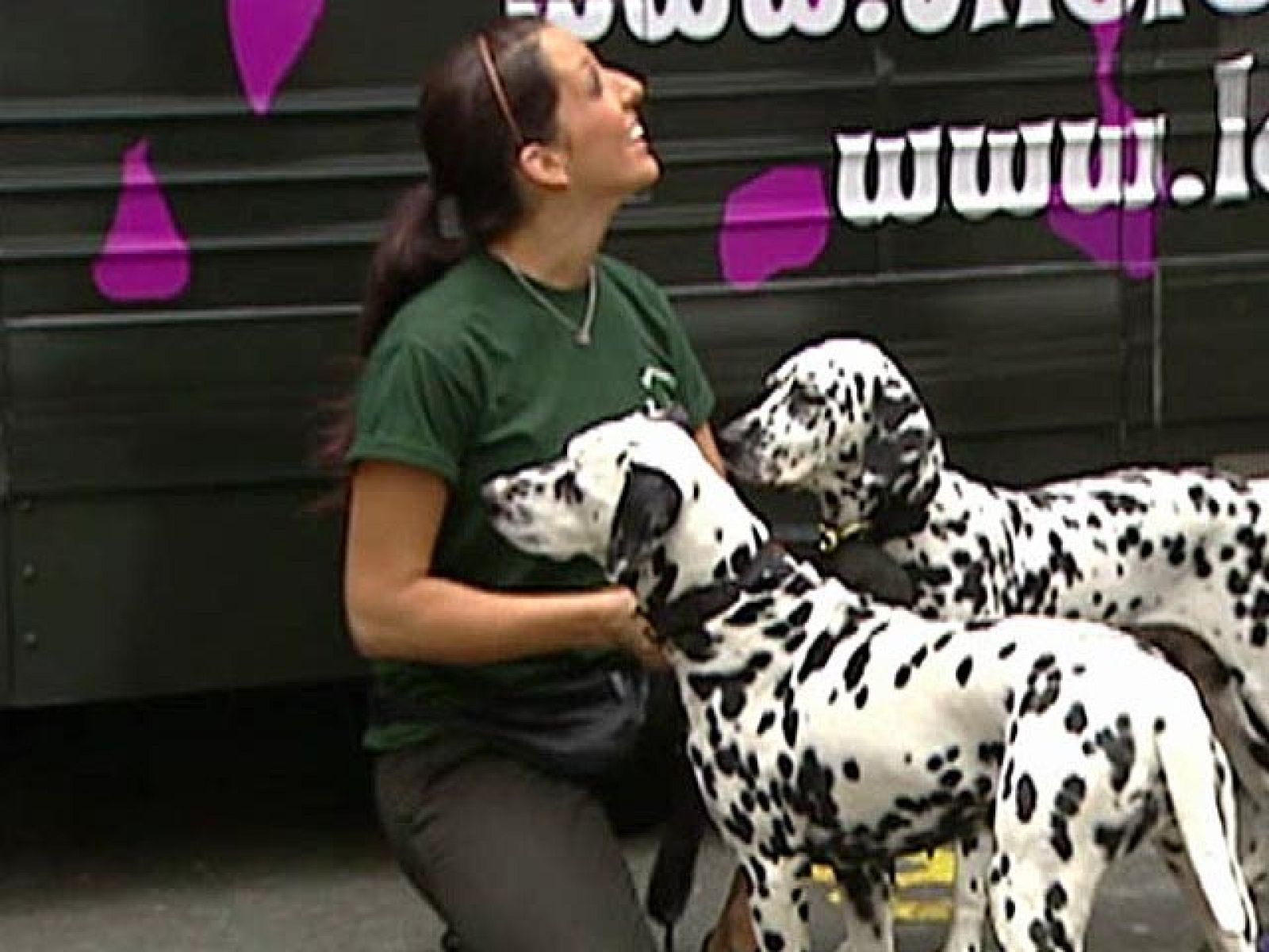 El musical de 101 Dálmatas se estrena en Broadway | Ver