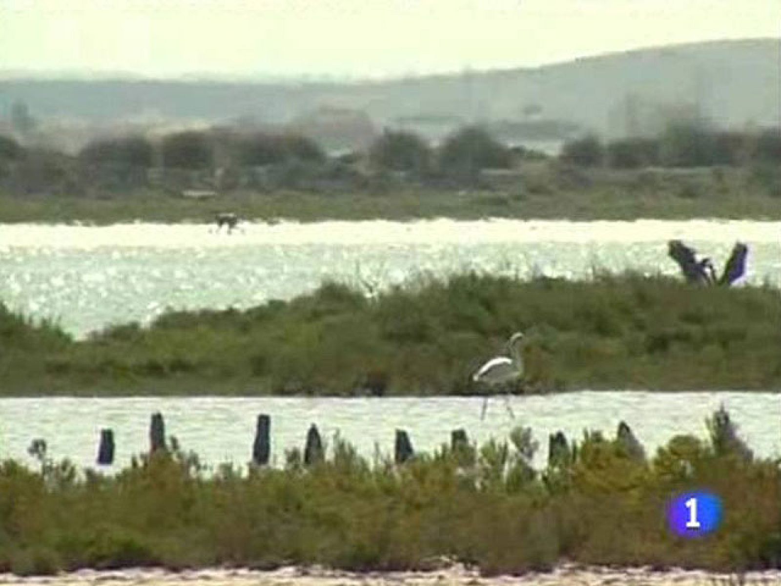 Se cumplen 40 años de la declaración de Doñana como Parque Natural