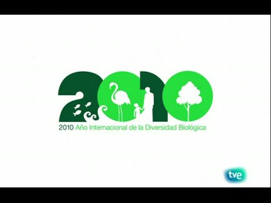 Biodiario - La rapaz de ojos rojos