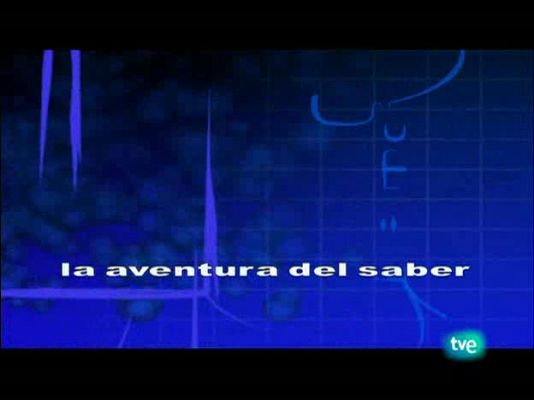 La aventura del Saber - La aventura del saber - Sociedad - 13/04/10
