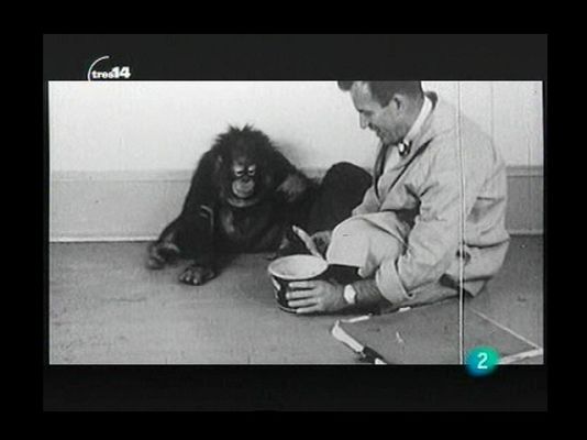 tres14 - ¿La risa es involuntaria?