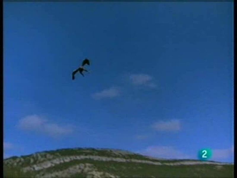 El hombre y la tierra - El águila imperial, una especie en peligro crítico de extinción, por Félix Rodríguez de la Fuente