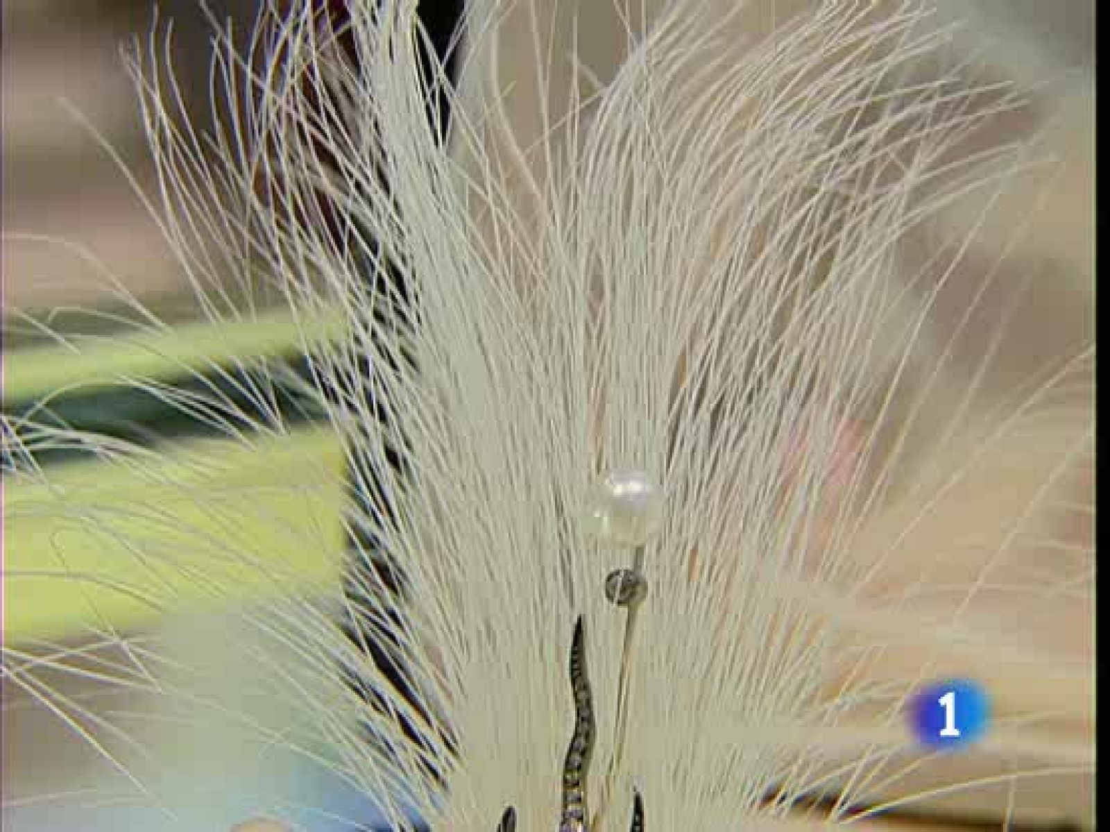 Almoneda, la feria de antigüedades de Madrid, cumple 20 años | Ver