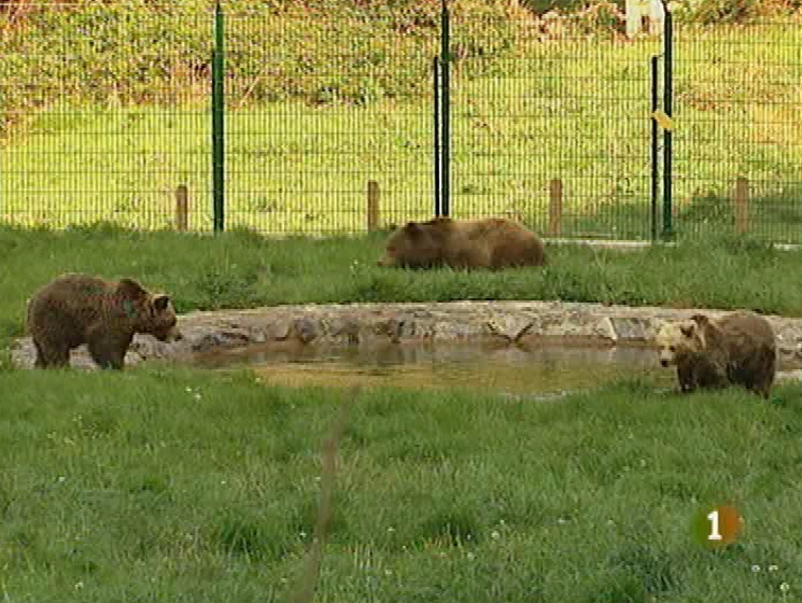 Panorama regional - 14/04/10 - Panorama Regional | Ver