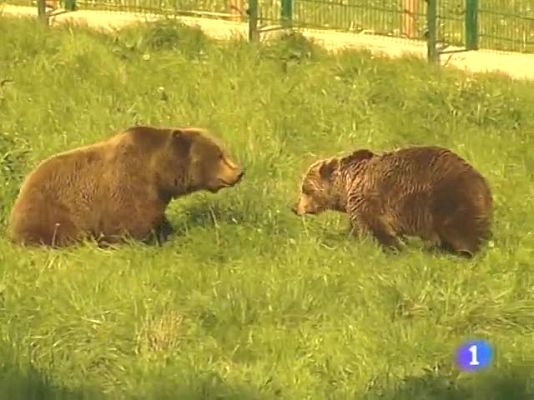 TeleCantabria - Telecantabria - 14/04/10