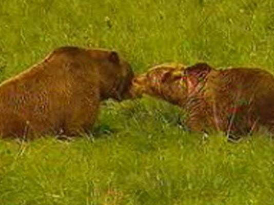  - Tercer intento de Furaco