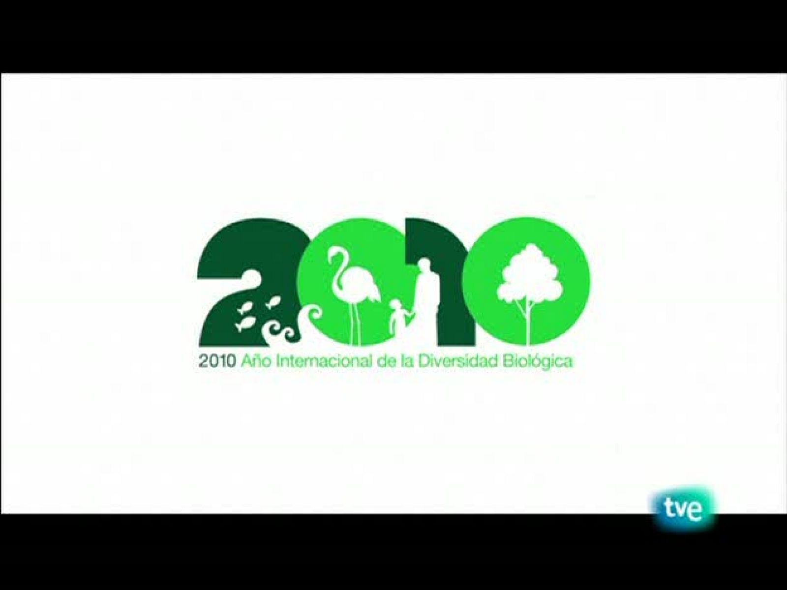 Biodiario - El tiempo de las cigüeñas - Biodiario | Ver