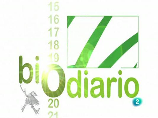 Biodiario - La lagartija de Valverde