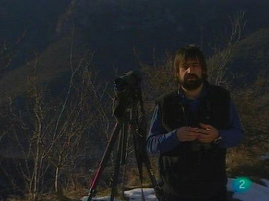 Para todos La 2 - ONG: World Nature