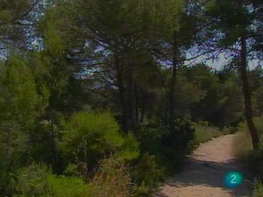 Para todos La 2 - ONG: Proyecto CO2