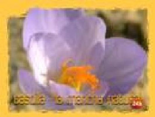 Natural - La ciencia de la supervivencia