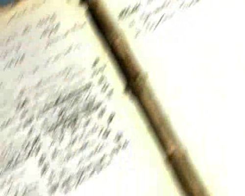 Miradas 2 - Ráfaga 130