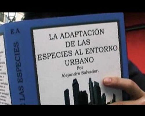 Miradas 2 - Ráfaga 267 - Mímesis