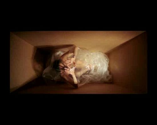 Miradas 2 - Ráfaga 349 - Embriones