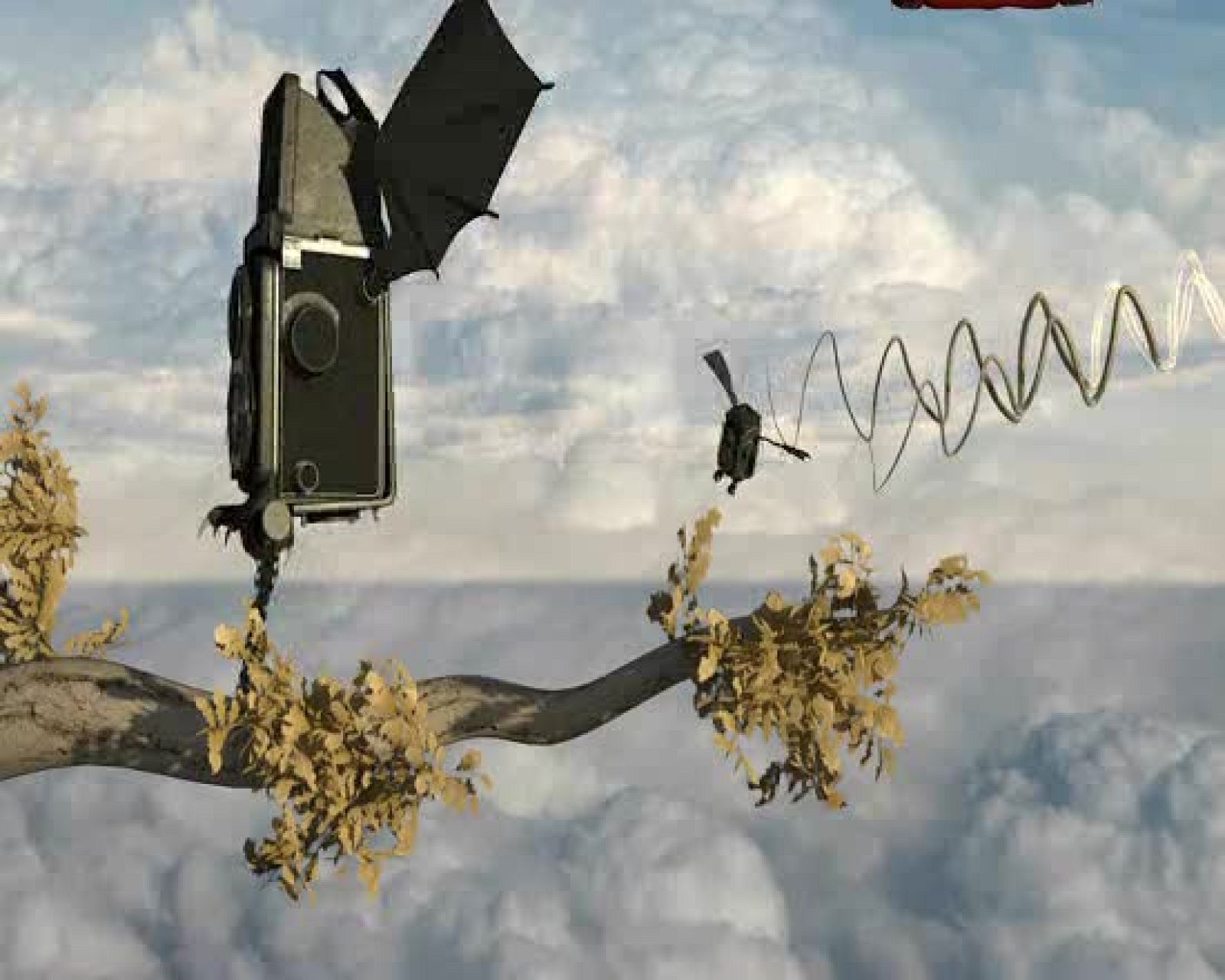 Ráfaga 386 - Campo de signos | Ver