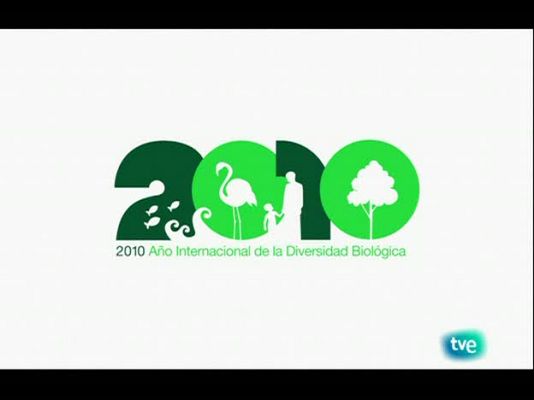 Biodiario - Las escolopendras