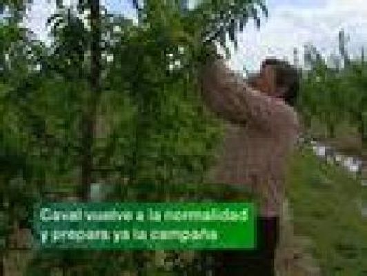 Noticias de Extremadura - Noticias de Extremadura - 19/04/10