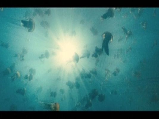  - "Océanos" en el Día de la Tierra