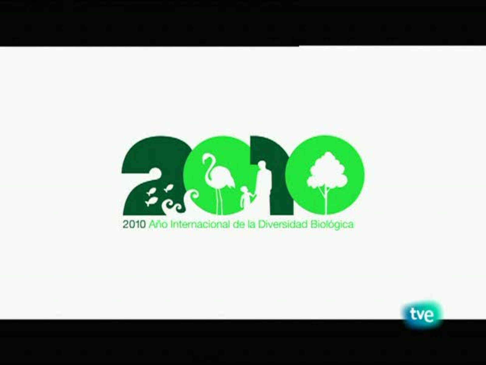 Biodiario - Las pajareras - Biodiario | Ver