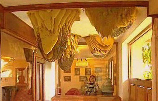 España Directo - La colmena en casa