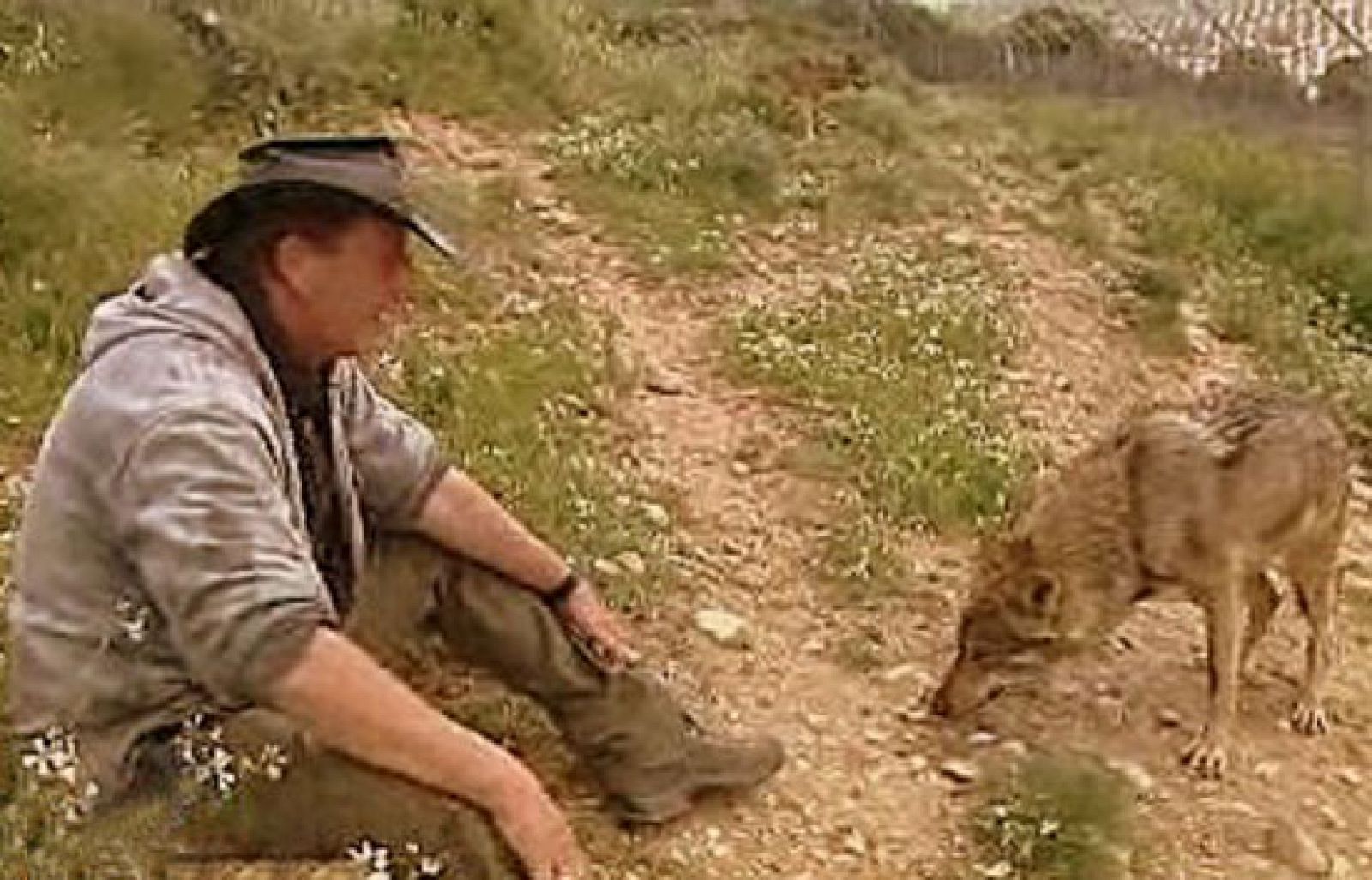 España Directo - En la boca del lobo | Ver